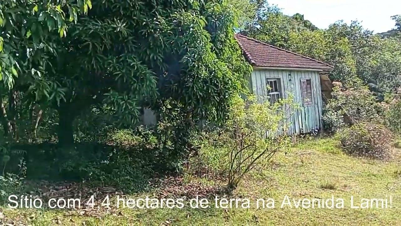 Vídeo