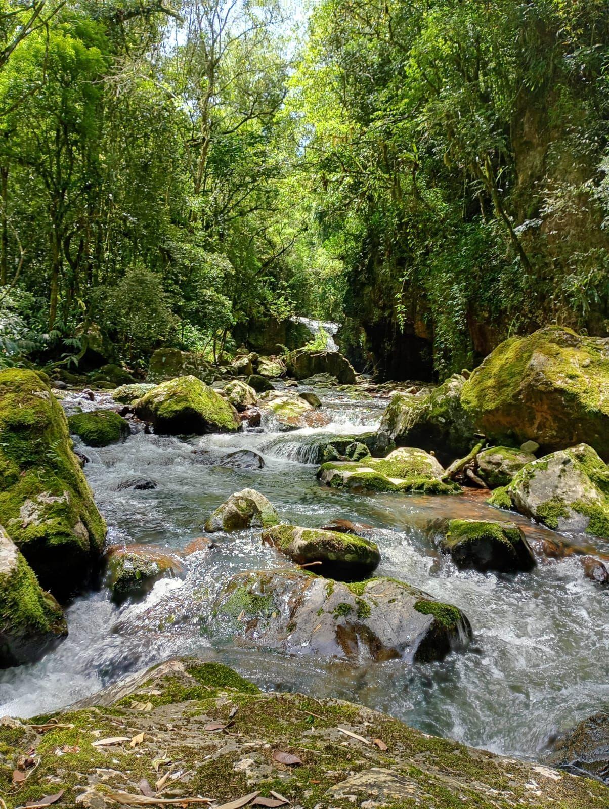 SITIO PARA LAZER E TURISMO. COM TODAS AS LICENÇAS, URBANIZADO PRONTO PARA INVESTIMENTO EM TURISMO